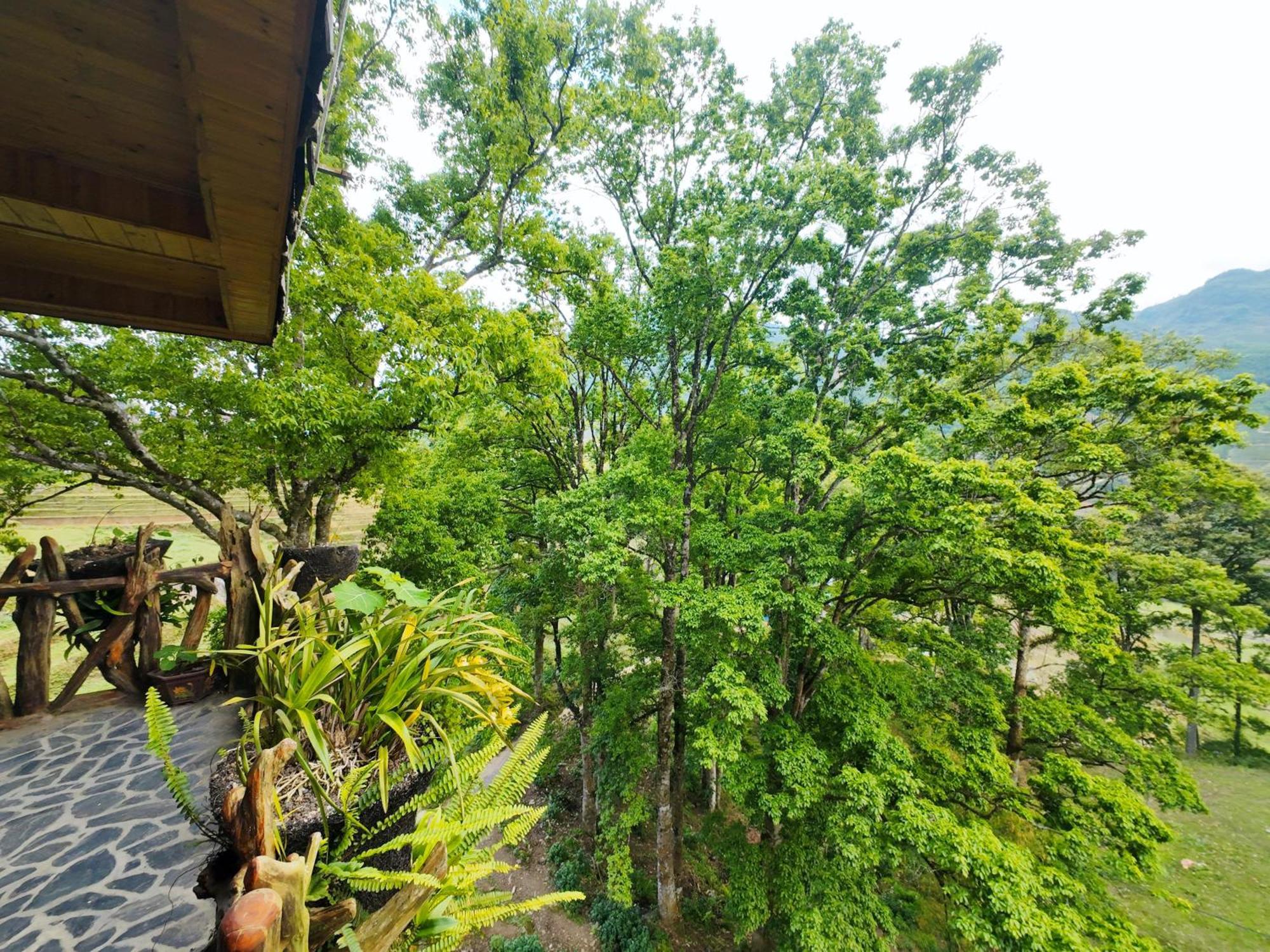 Hotel Mt House Sapa Exterior foto